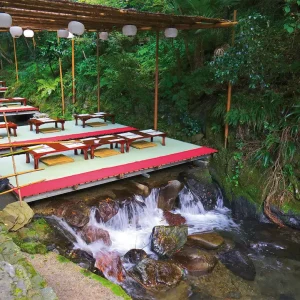 Explore gardens of exotic flowers and climb into ancient tree canopies
